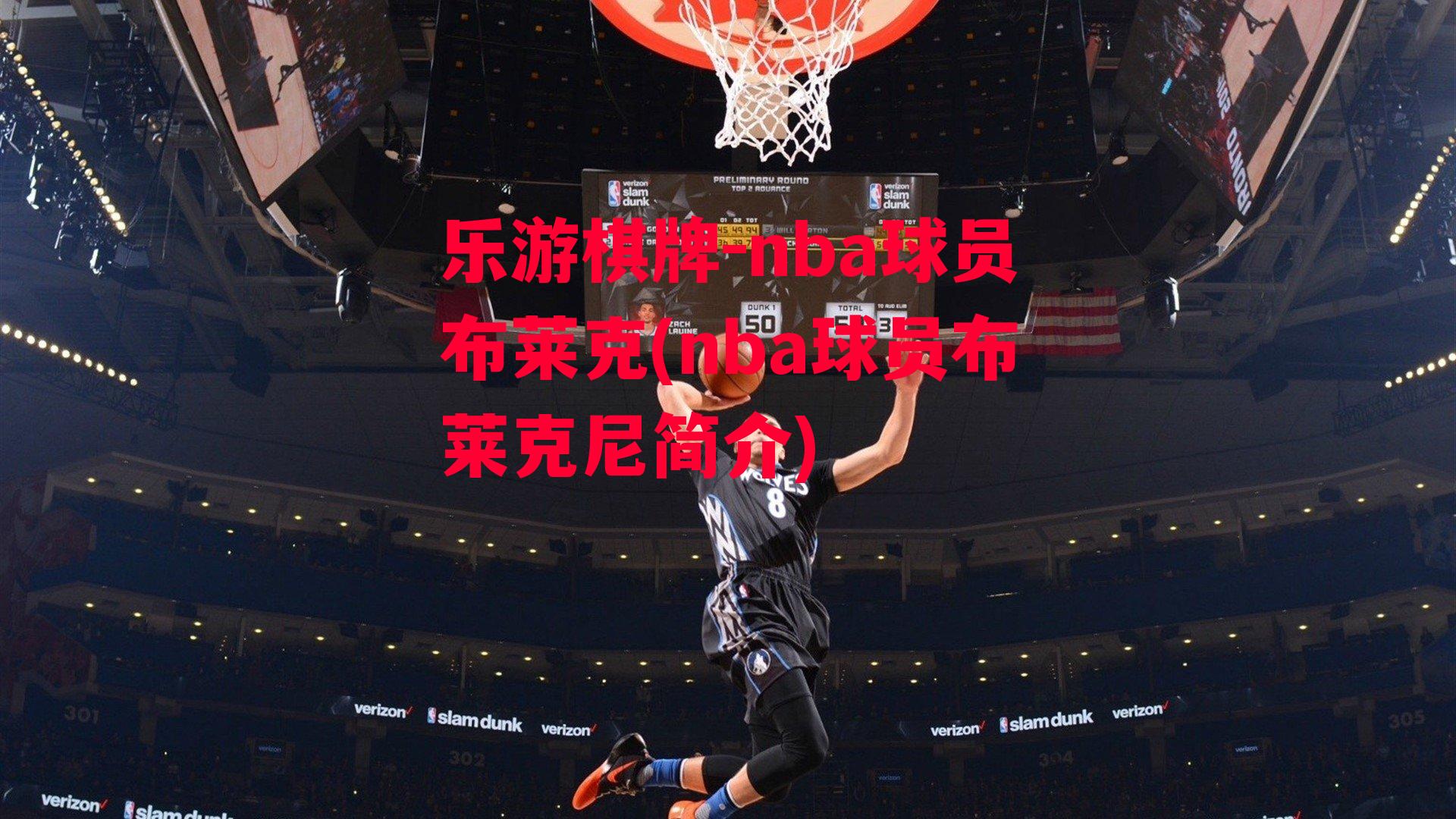 nba球员布莱克(nba球员布莱克尼简介)