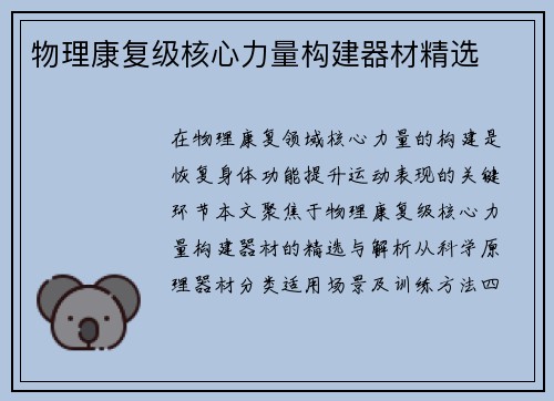 物理康复级核心力量构建器材精选