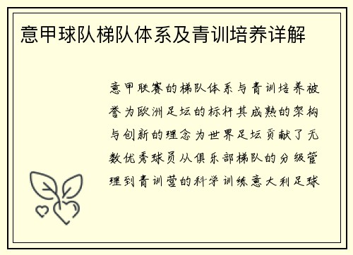意甲球队梯队体系及青训培养详解